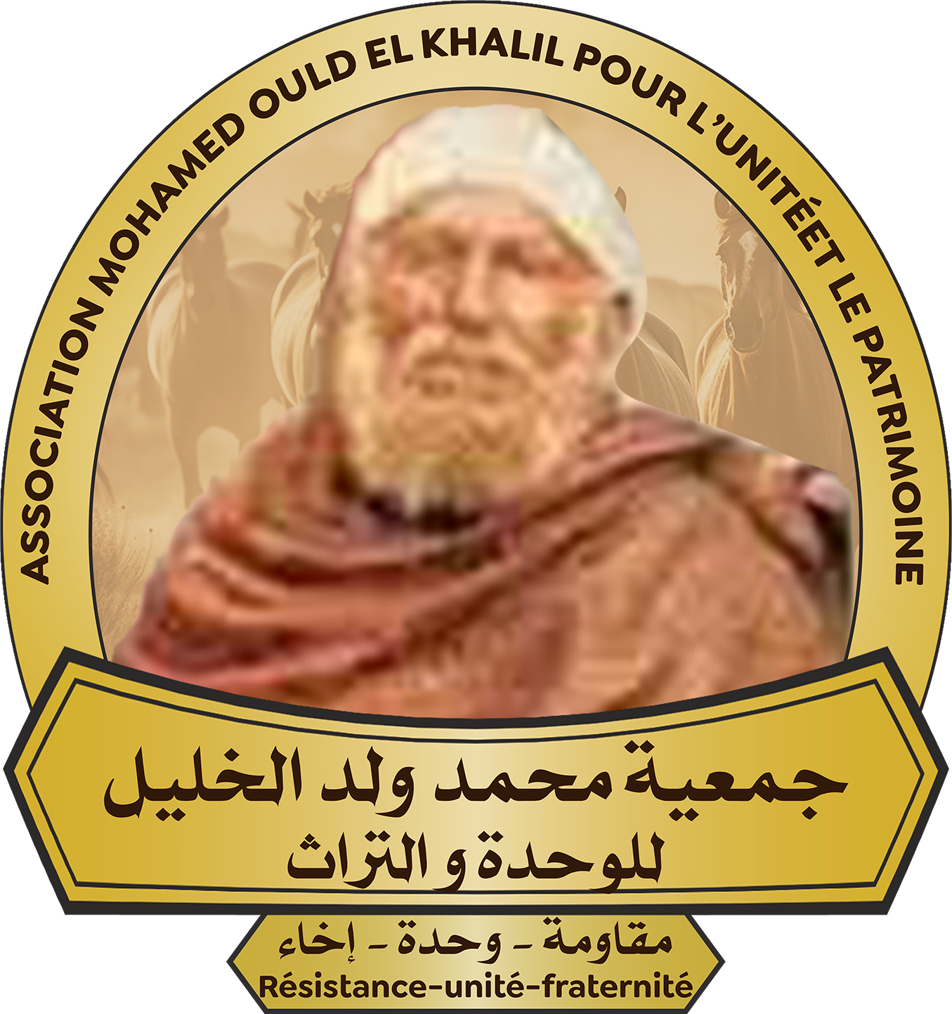 جمعية محمد ولد الخليل للوحدة والتراث